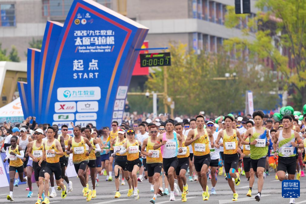 这是因为HJC黄金城游戏比较的简单易学案例展示