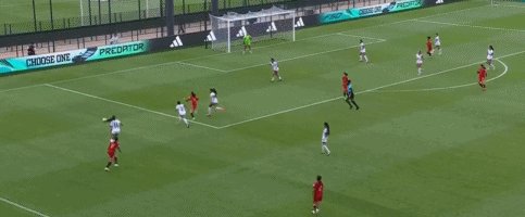 1792688870011044252.gif 2.gif